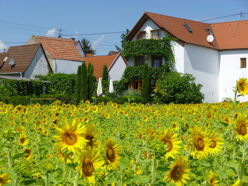 Landhotel Kallstadt Exterior photo