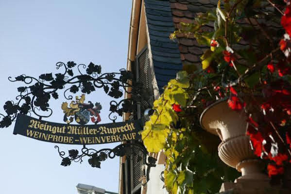 Landhotel Kallstadt Exterior photo